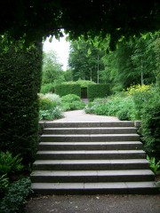 Steps upward into garden